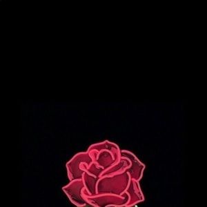 Meet your Posher, Tamera